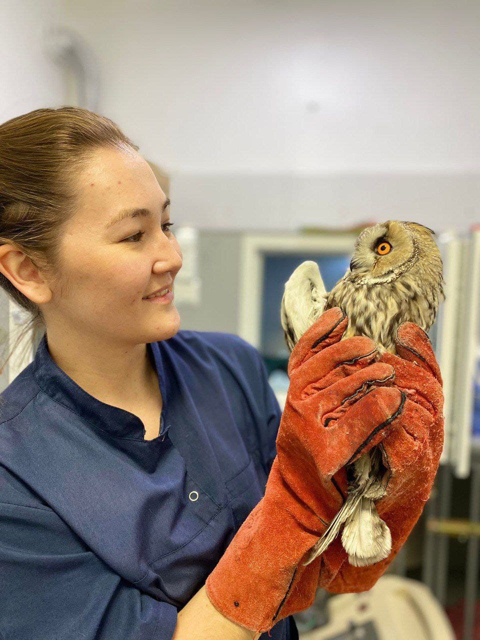 Алина Спартаковна