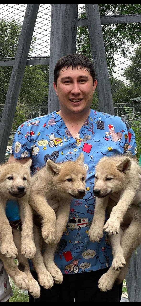 Виталий Александрович